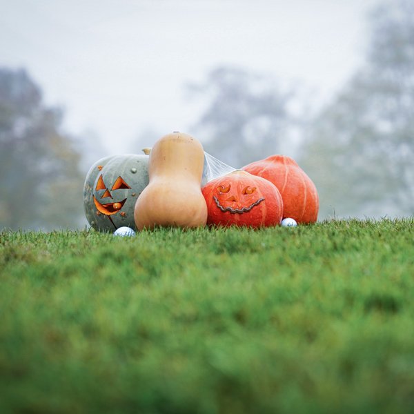 Happy Halloween!🎃
Wir hoffen Ihr habt Eure Kürbisse ausgehöhlt, die Süßigkeiten vorbereitet und Eure gruseligen Kostüme...